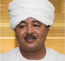 رمزي عبدالعزيز المصري